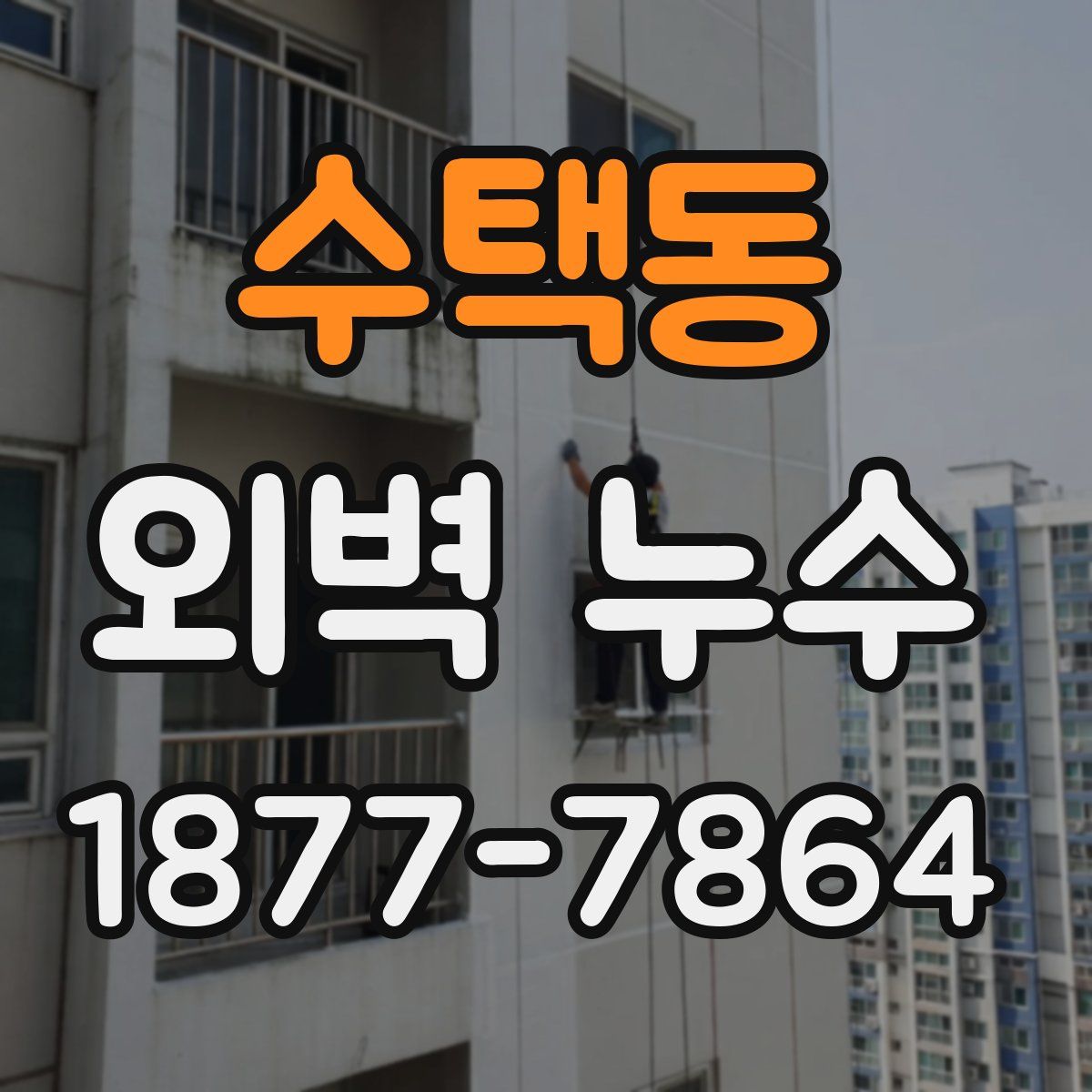 수택동 외벽 누수