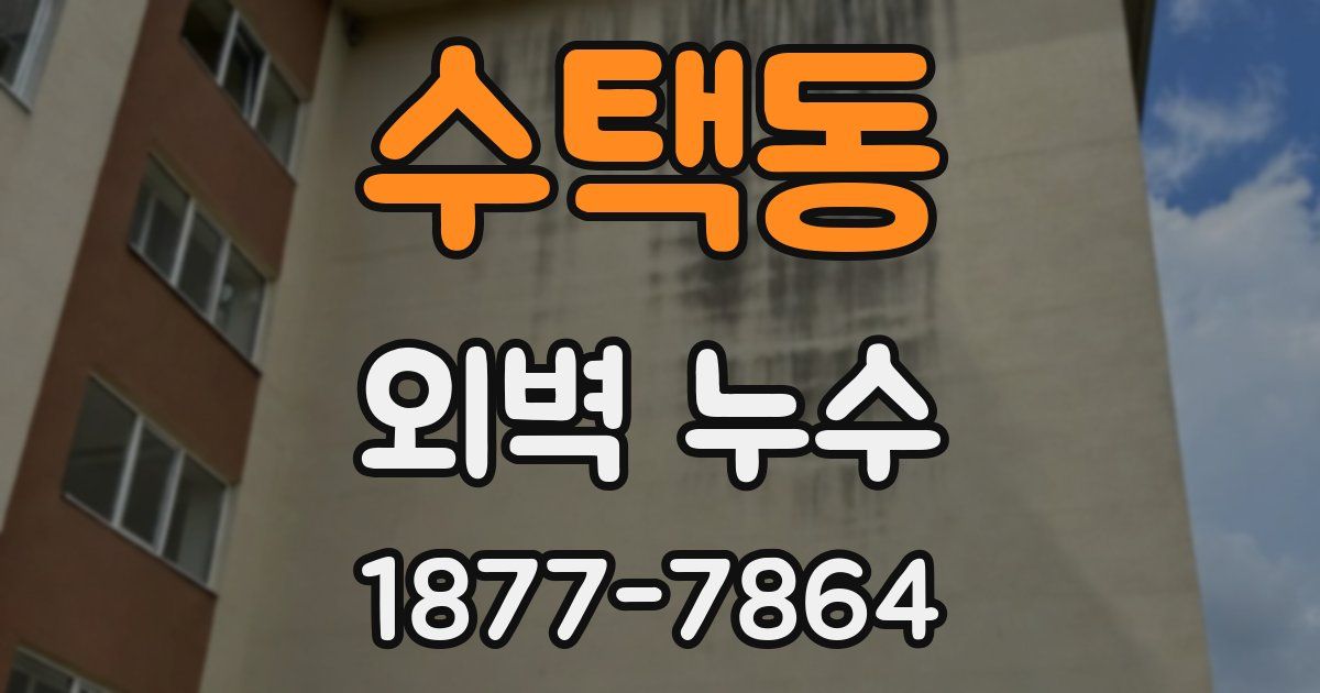 수택동 외벽 누수