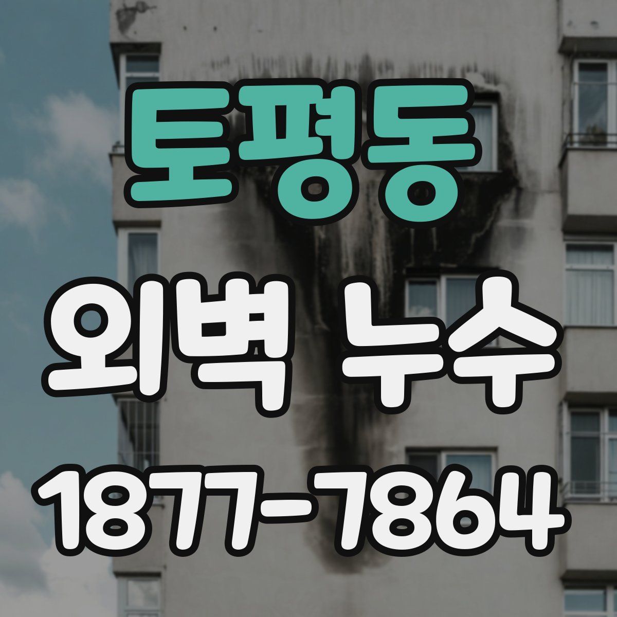 토평동 외벽 누수