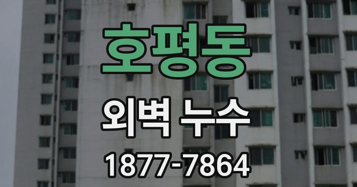 호평동 외벽 누수