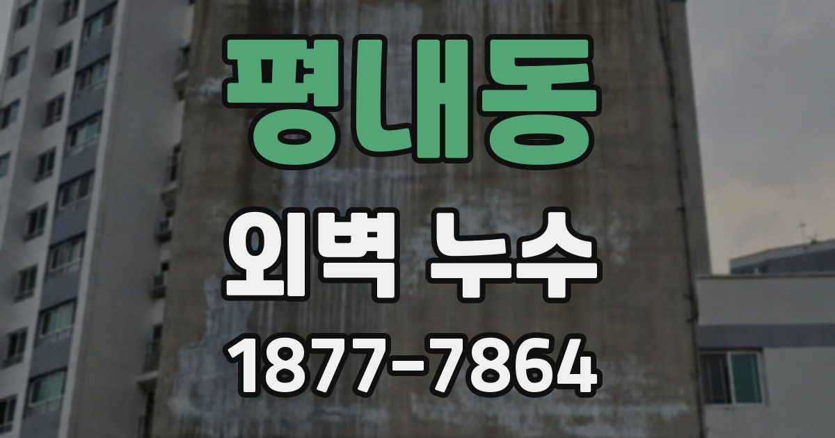 평내동 외벽 누수