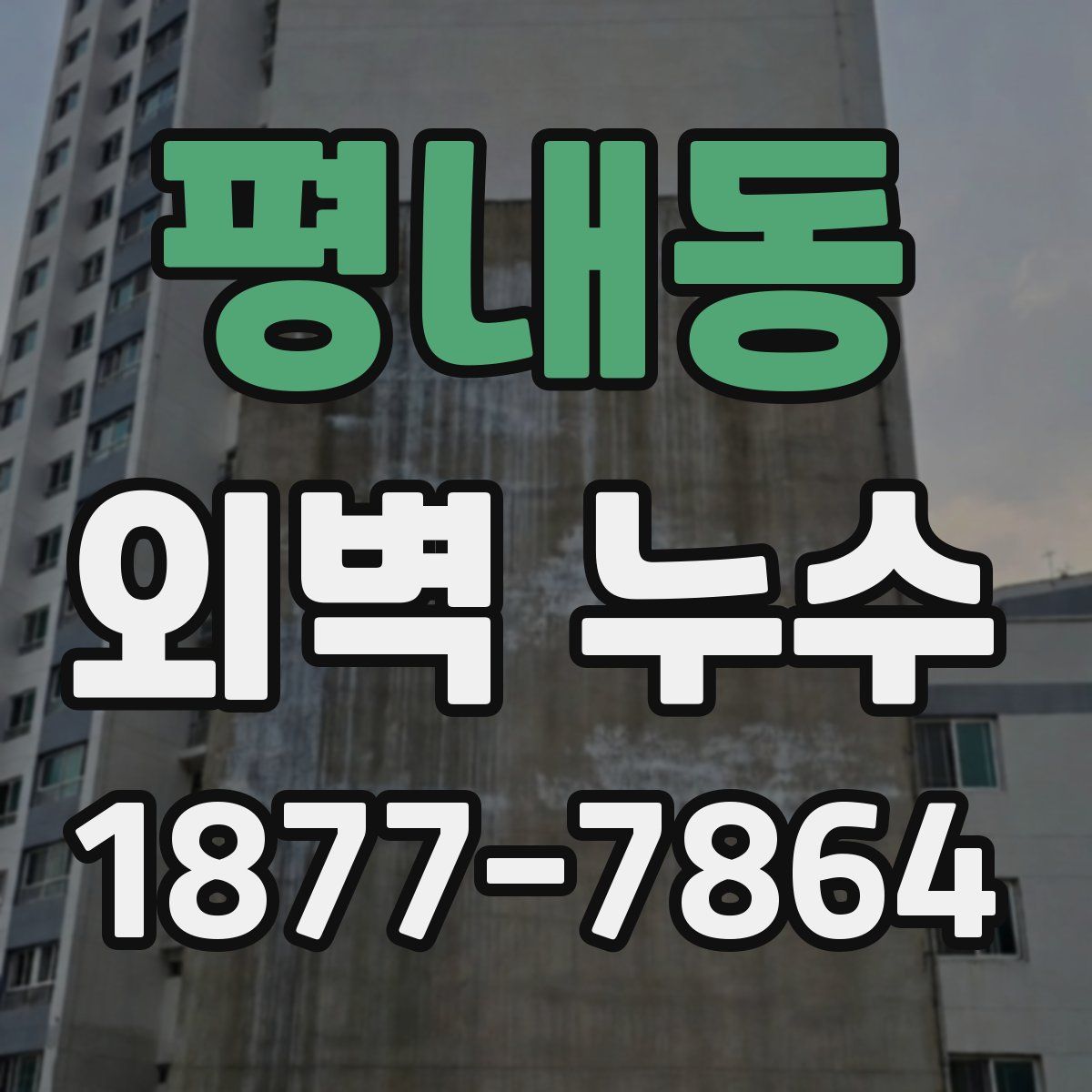 평내동 외벽 누수