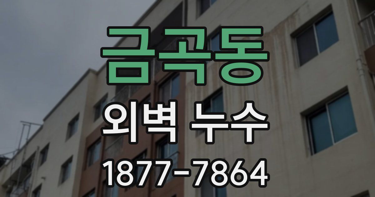 금곡동 외벽 누수