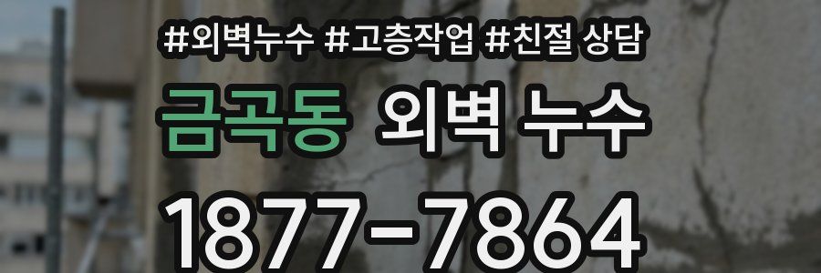 금곡동 외벽 누수