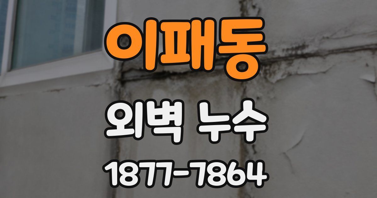이패동 외벽 누수