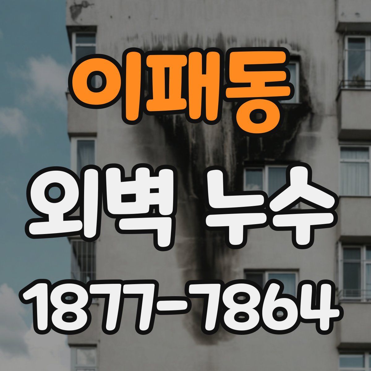 이패동 외벽 누수