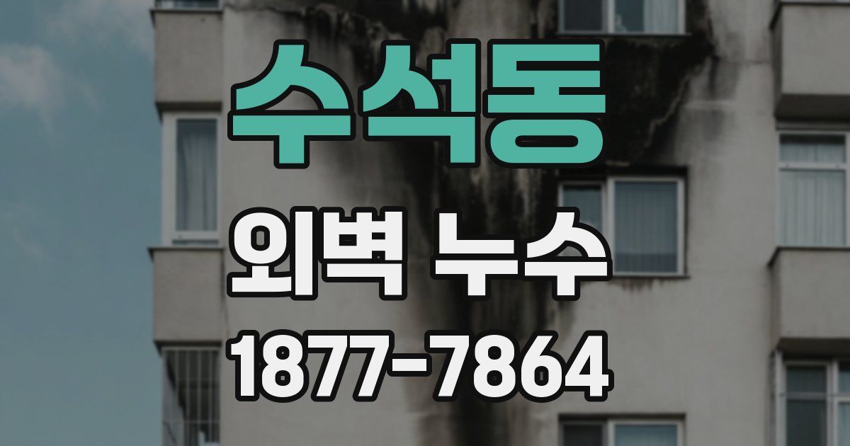 수석동 외벽 누수