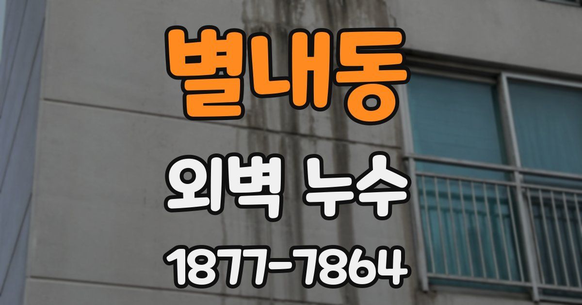 별내동 외벽 누수