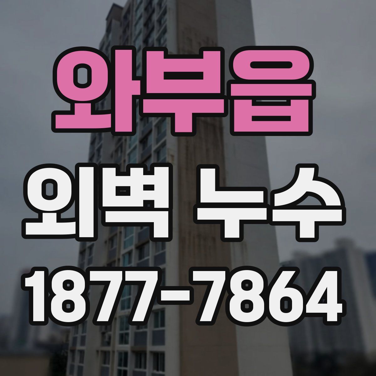 와부읍 외벽 누수
