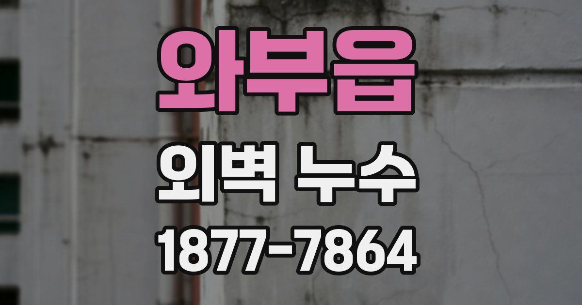 와부읍 외벽 누수