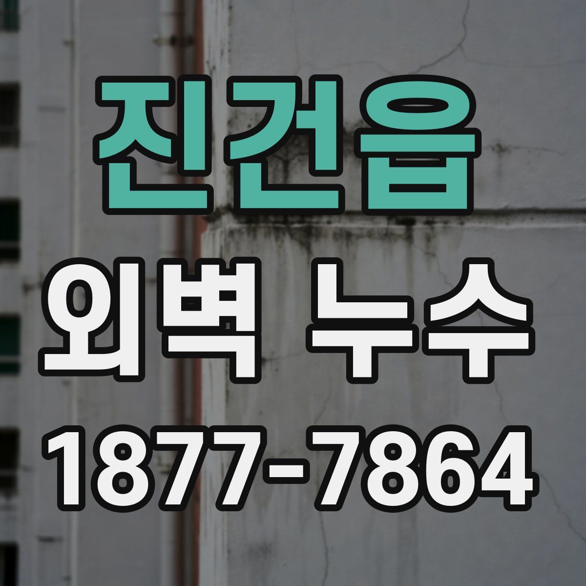 진건읍 외벽 누수