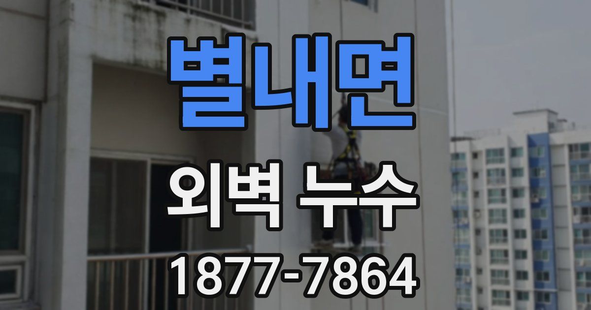 별내면 외벽 누수