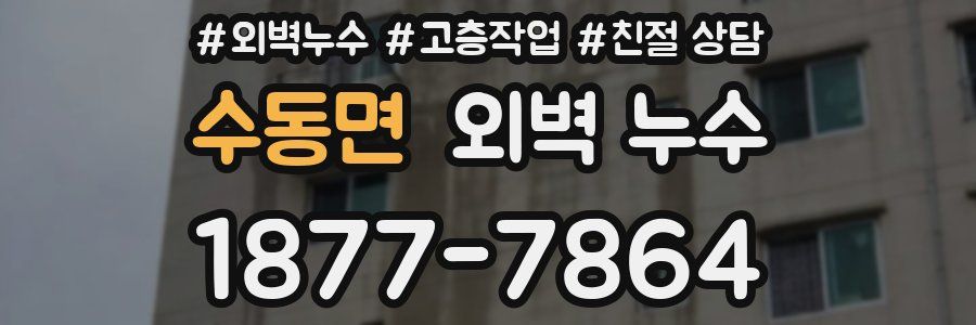 수동면 외벽 누수