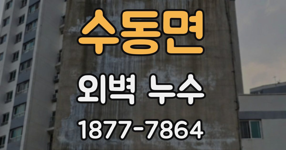 수동면 외벽 누수
