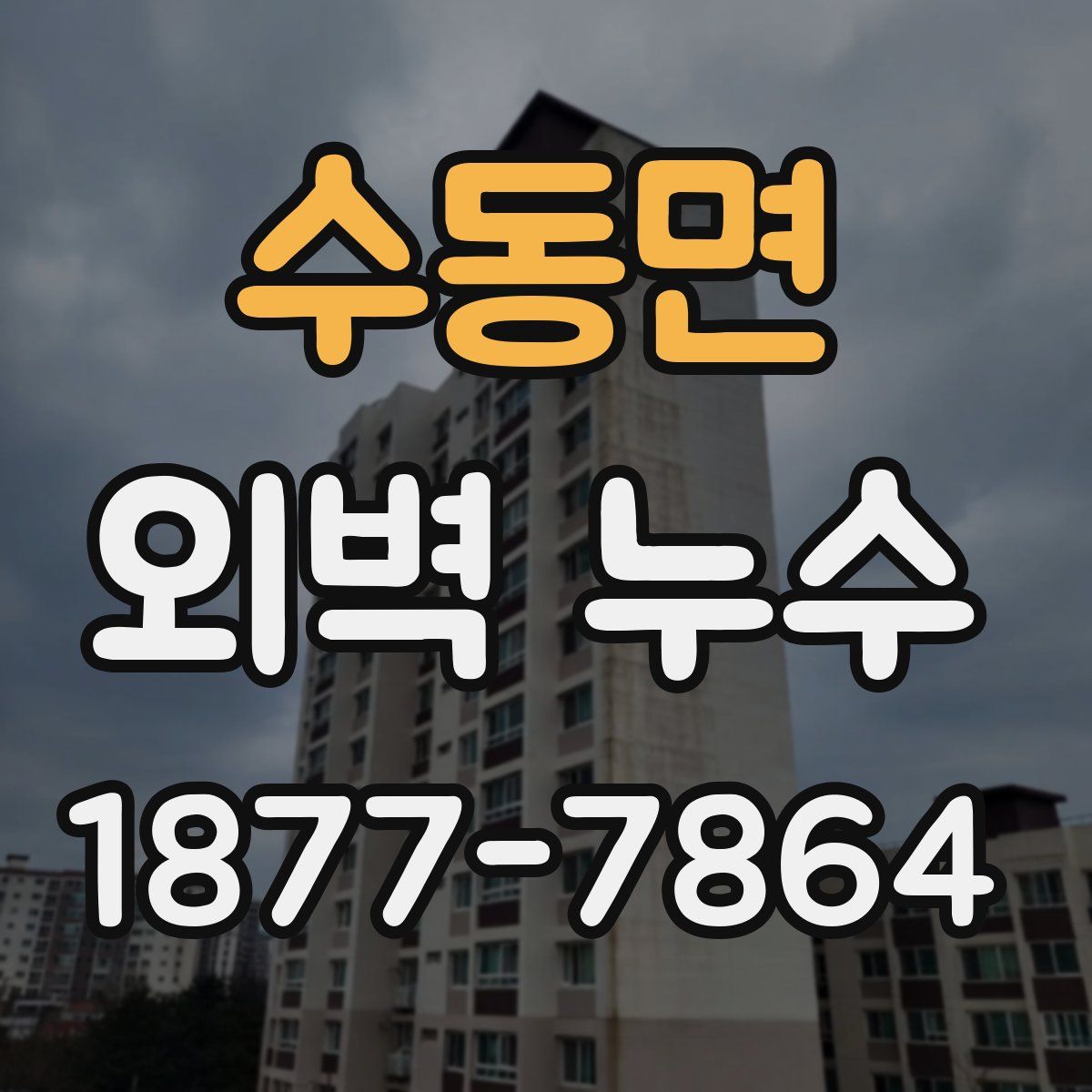 수동면 외벽 누수