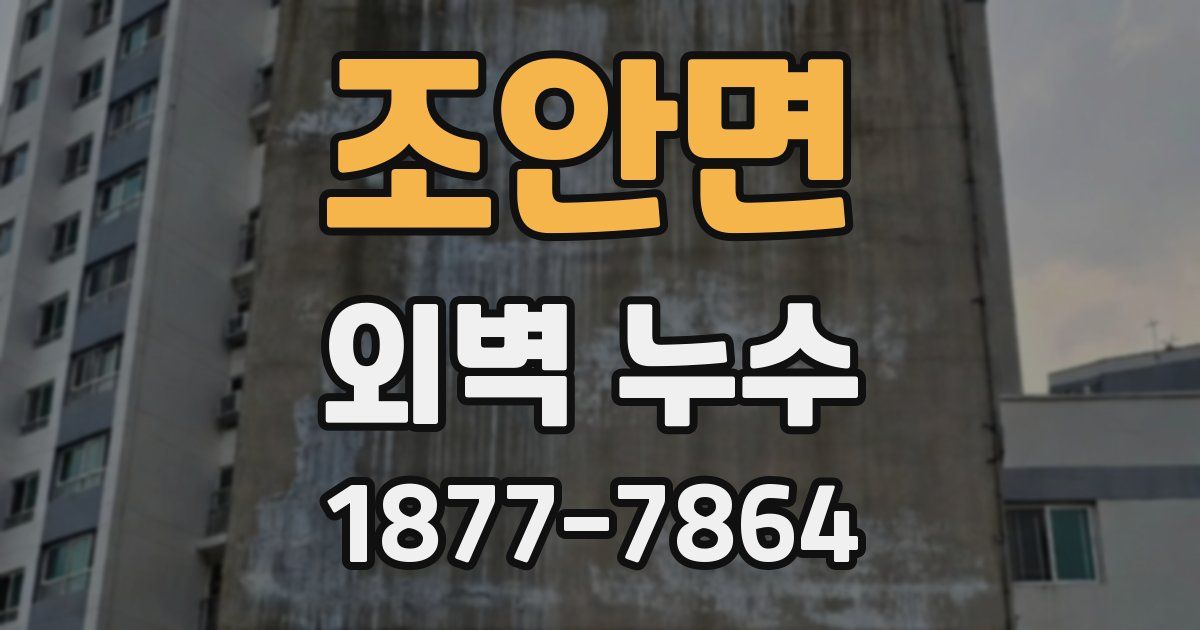 조안면 외벽 누수