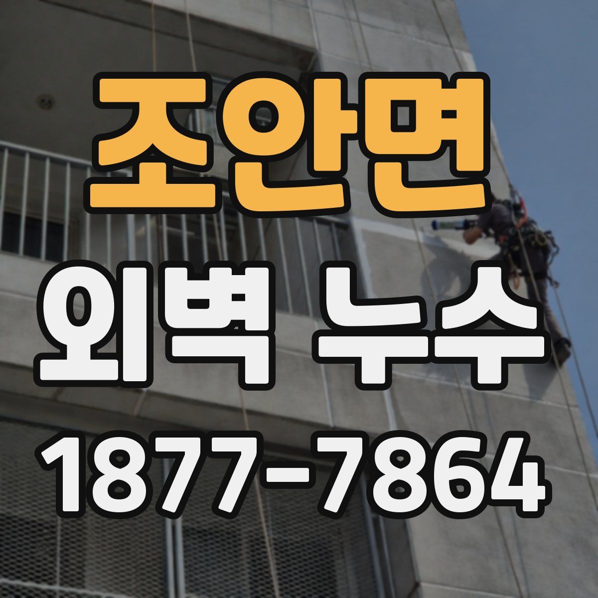 조안면 외벽 누수