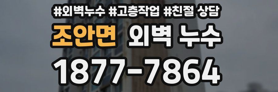 조안면 외벽 누수