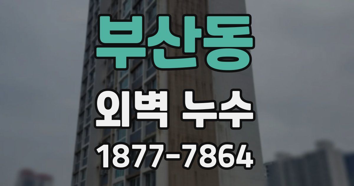 부산동 외벽 누수