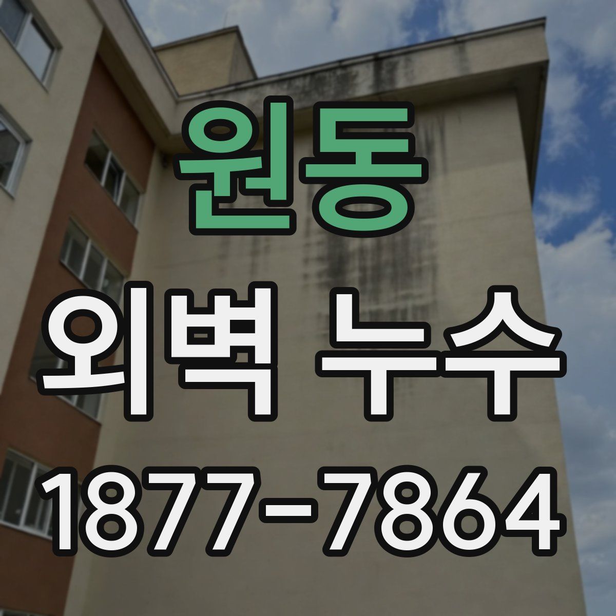 원동 외벽 누수