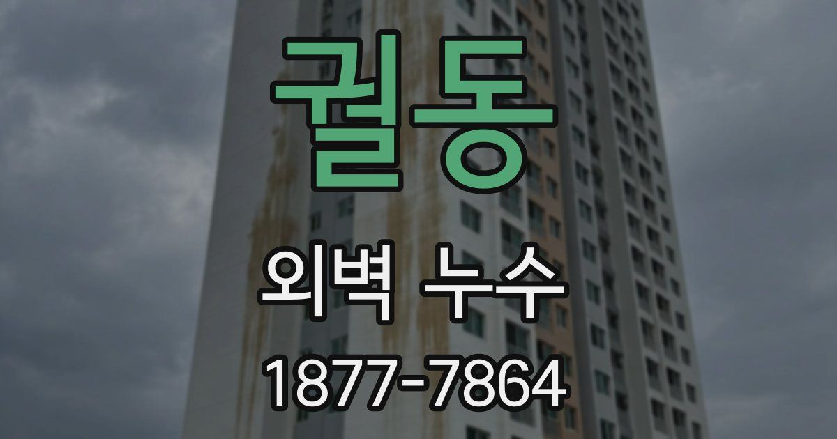 궐동 외벽 누수