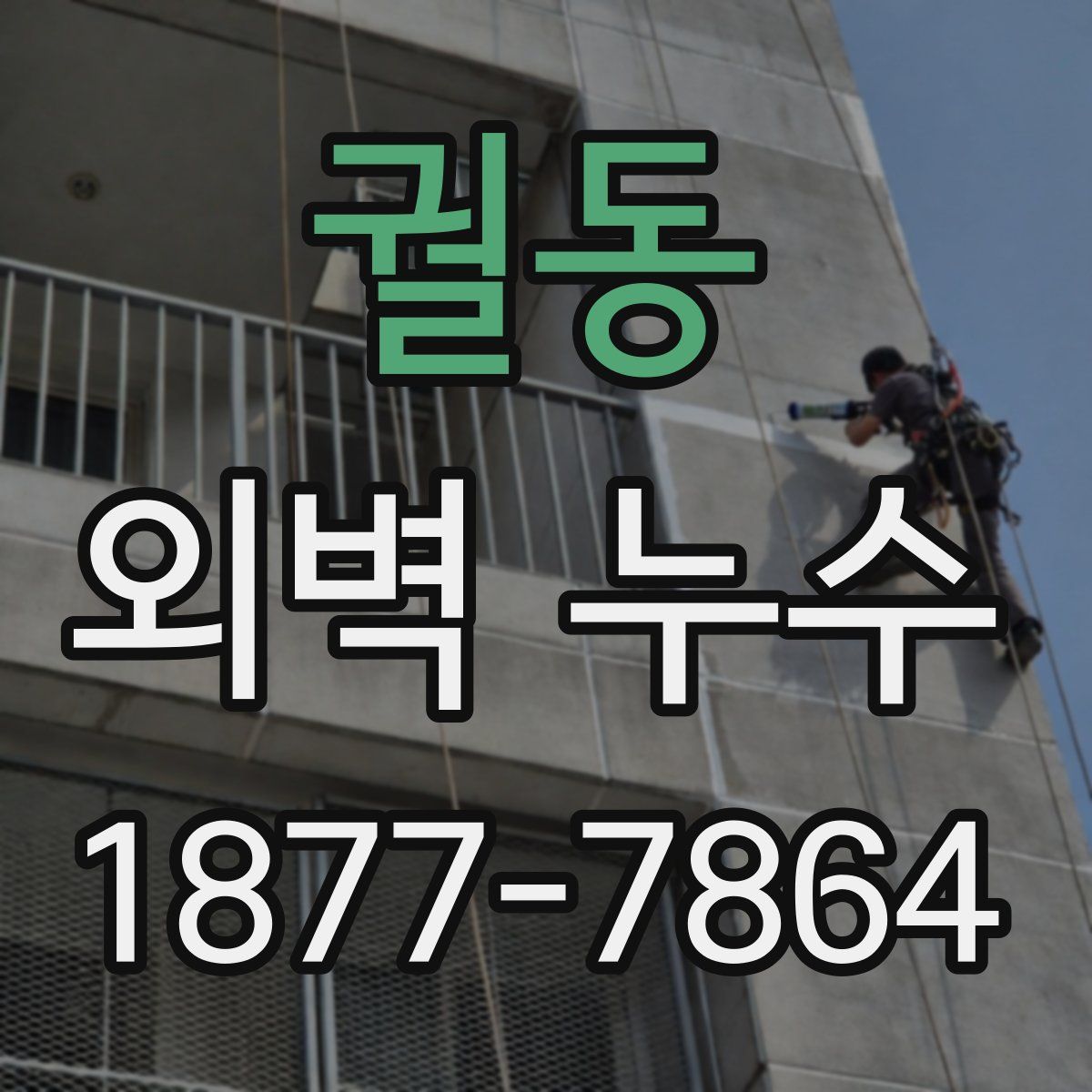 궐동 외벽 누수