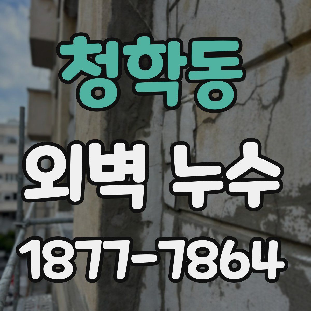 청학동 외벽 누수