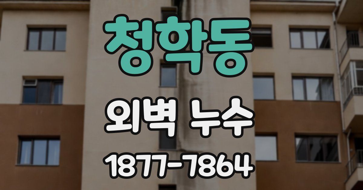청학동 외벽 누수