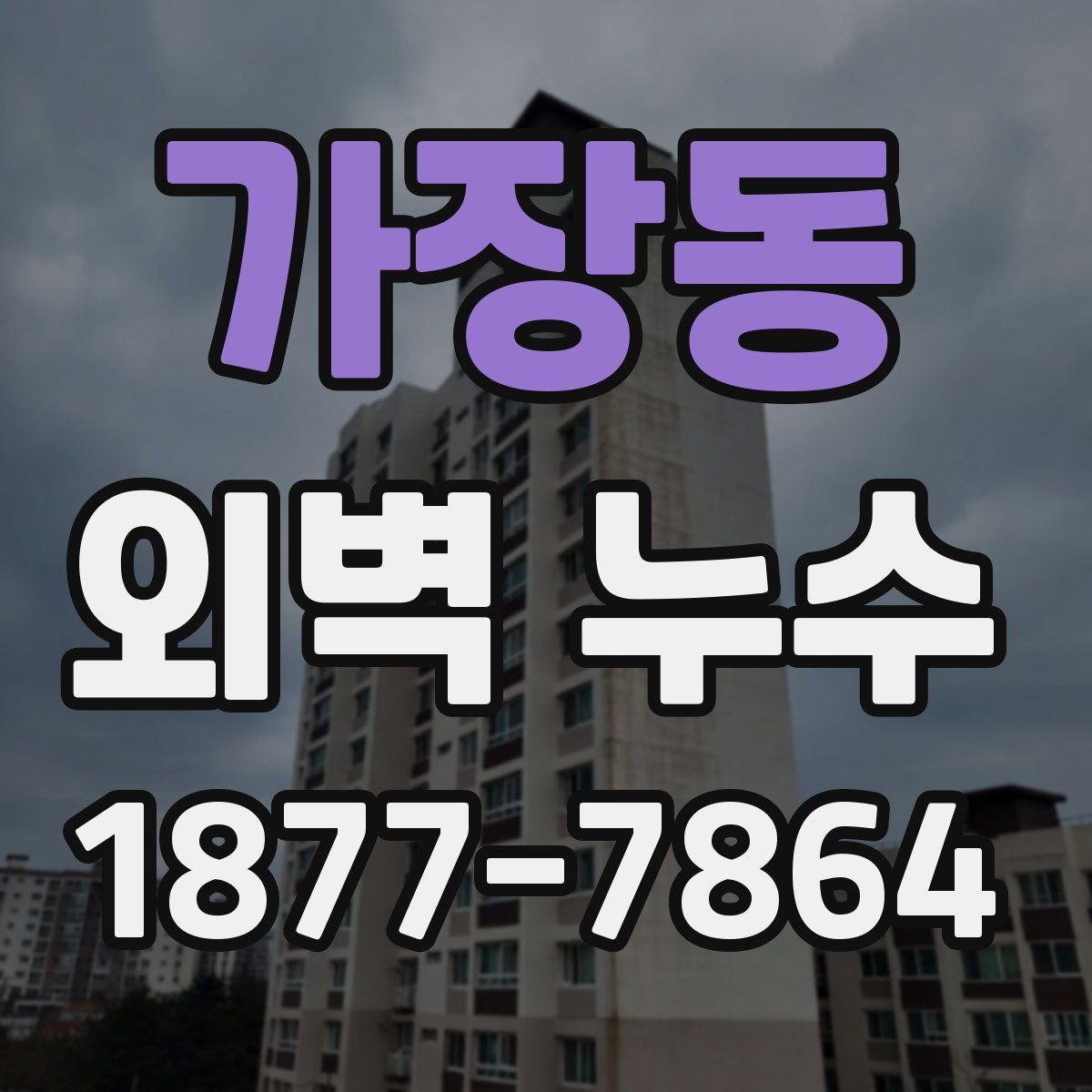 가장동 외벽 누수