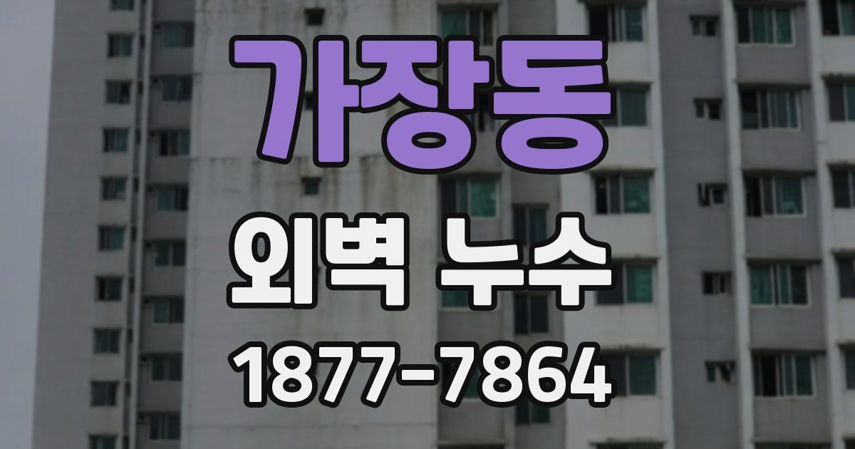 가장동 외벽 누수