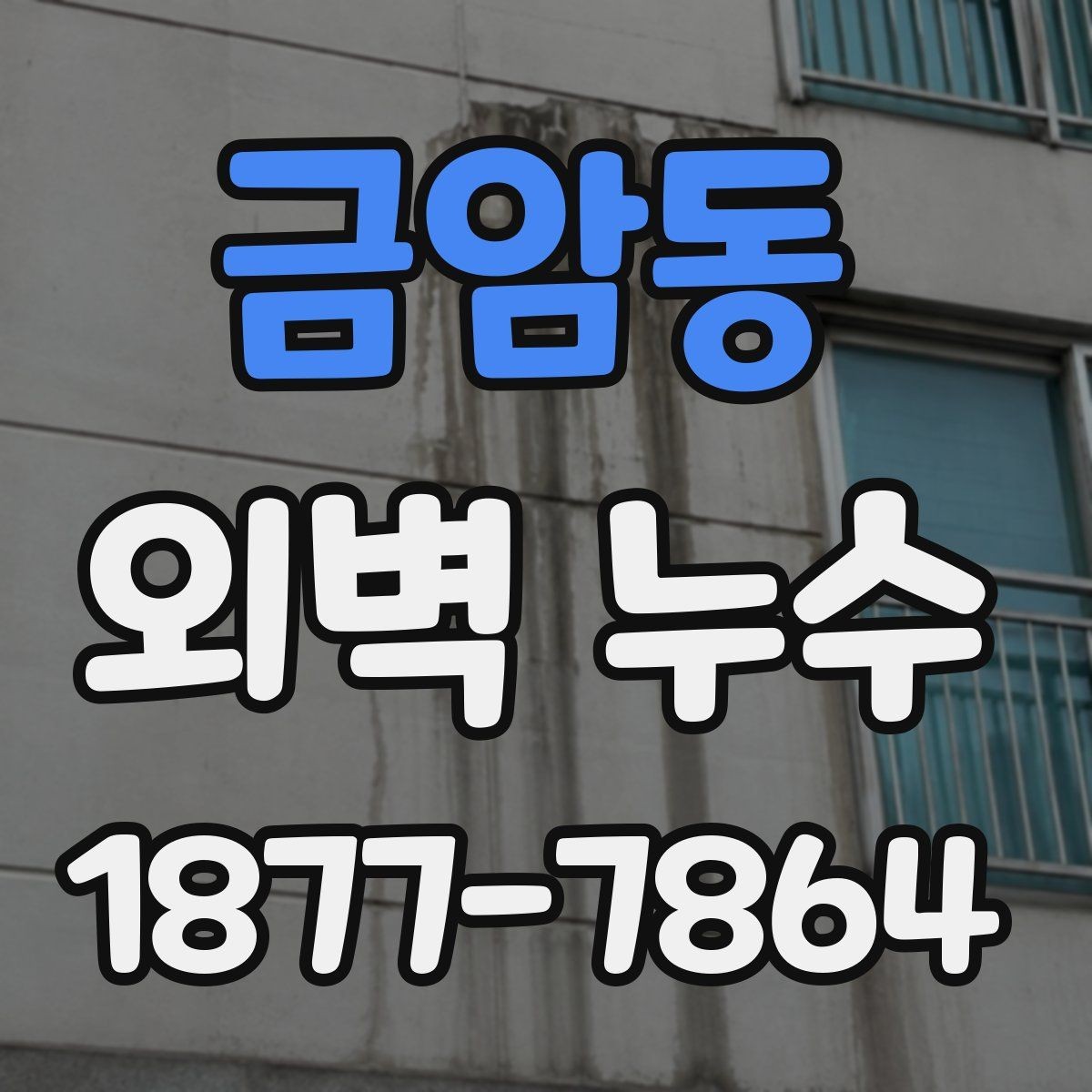 금암동 외벽 누수 의심 후 바로 해야 할 일