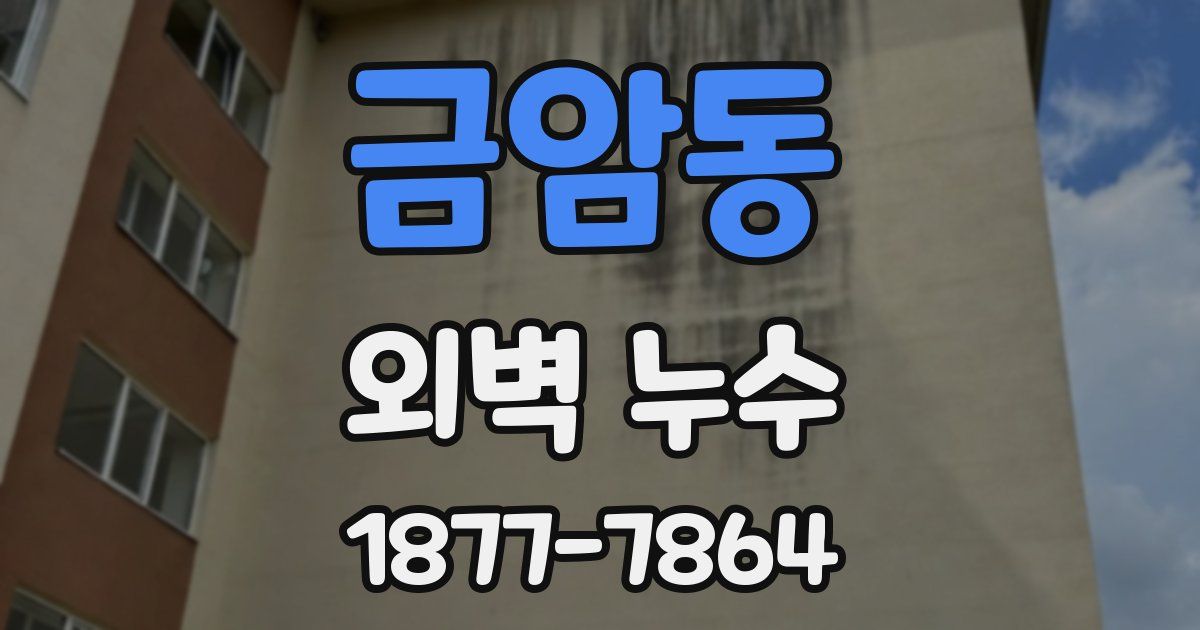 금암동 외벽 누수
