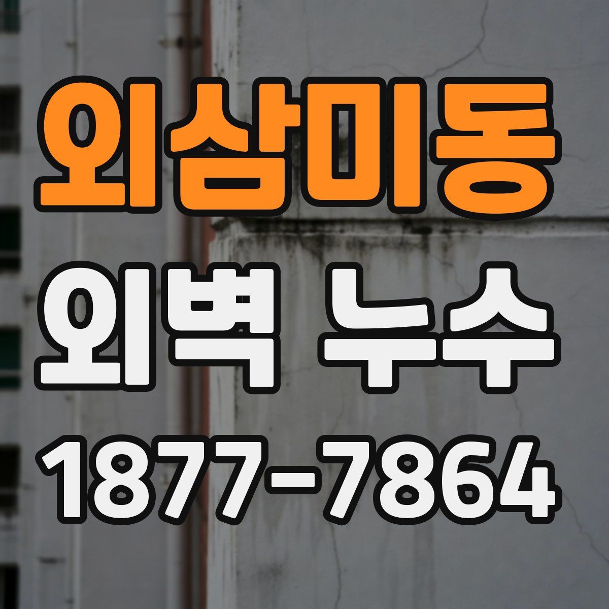 외삼미동 외벽 누수