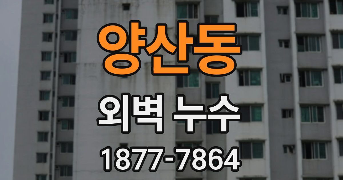 양산동 외벽 누수