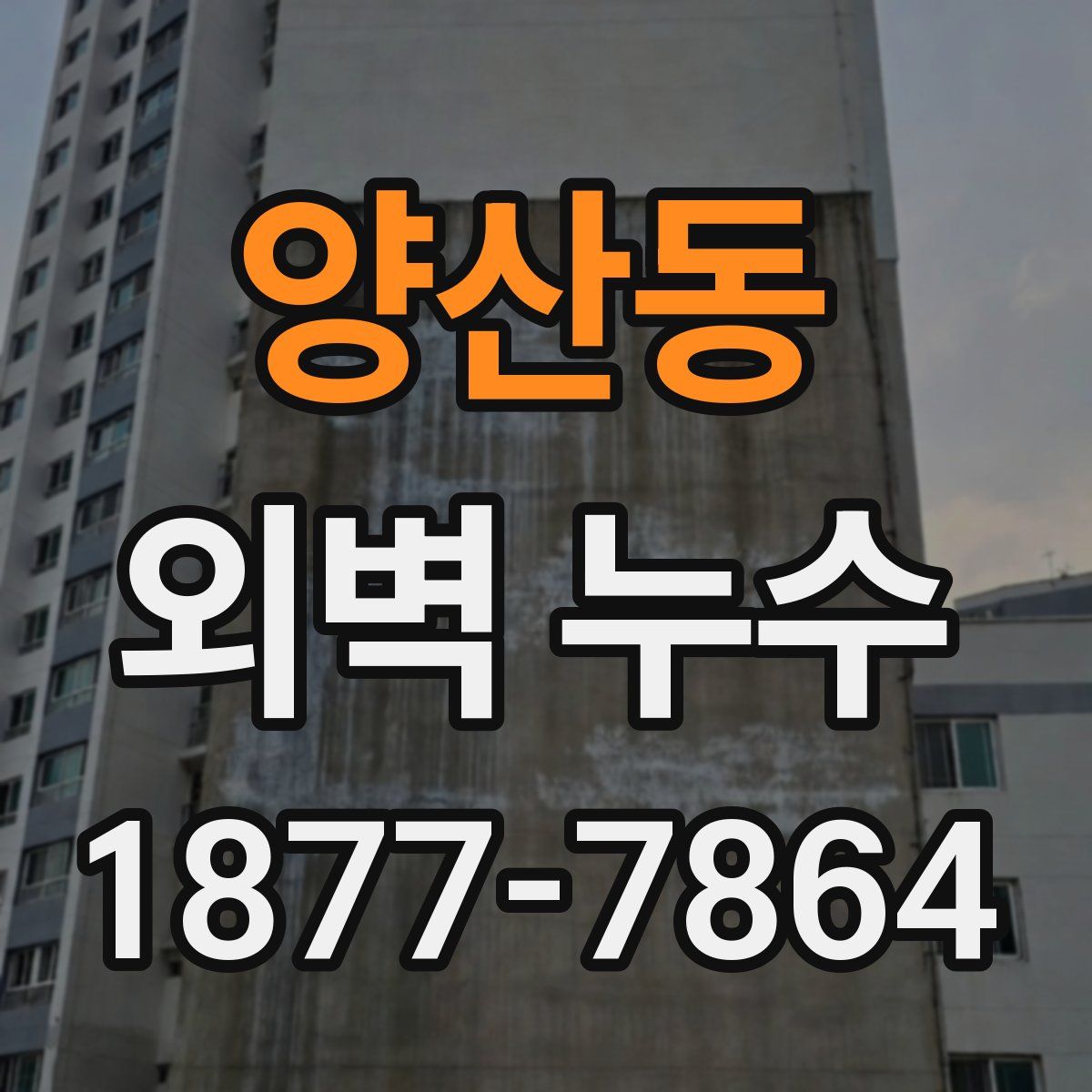 양산동 외벽 누수