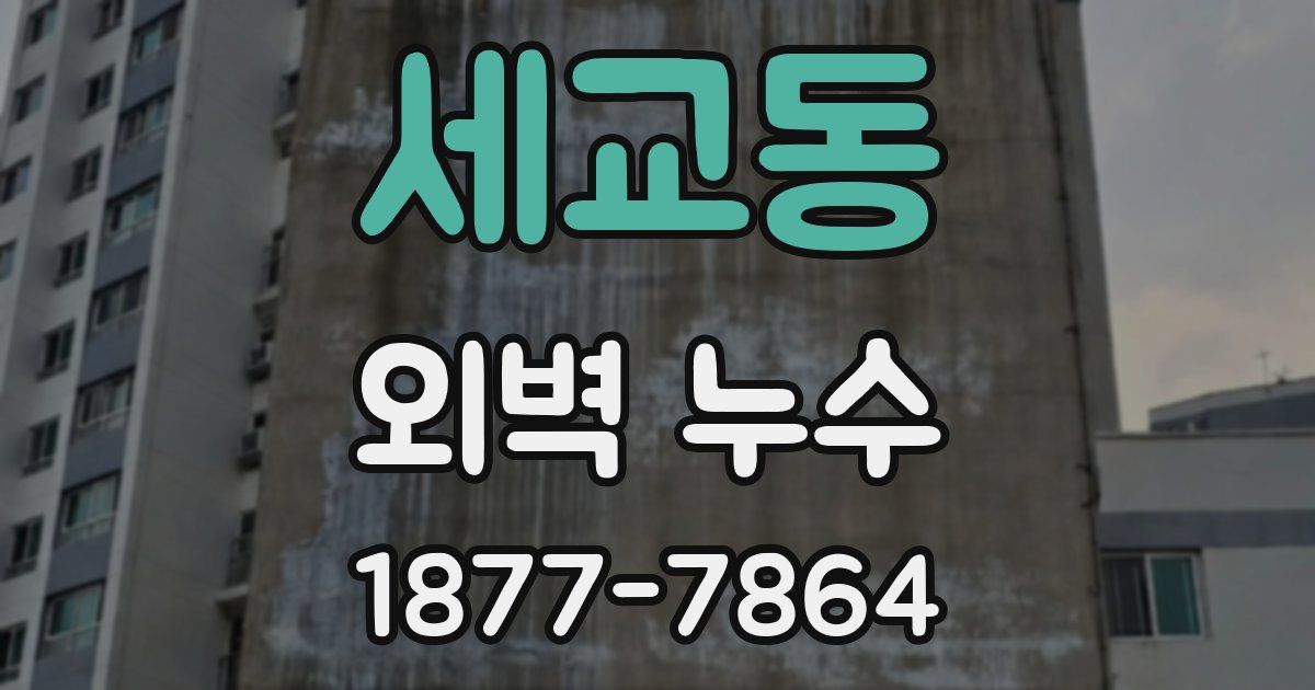 세교동 외벽 누수