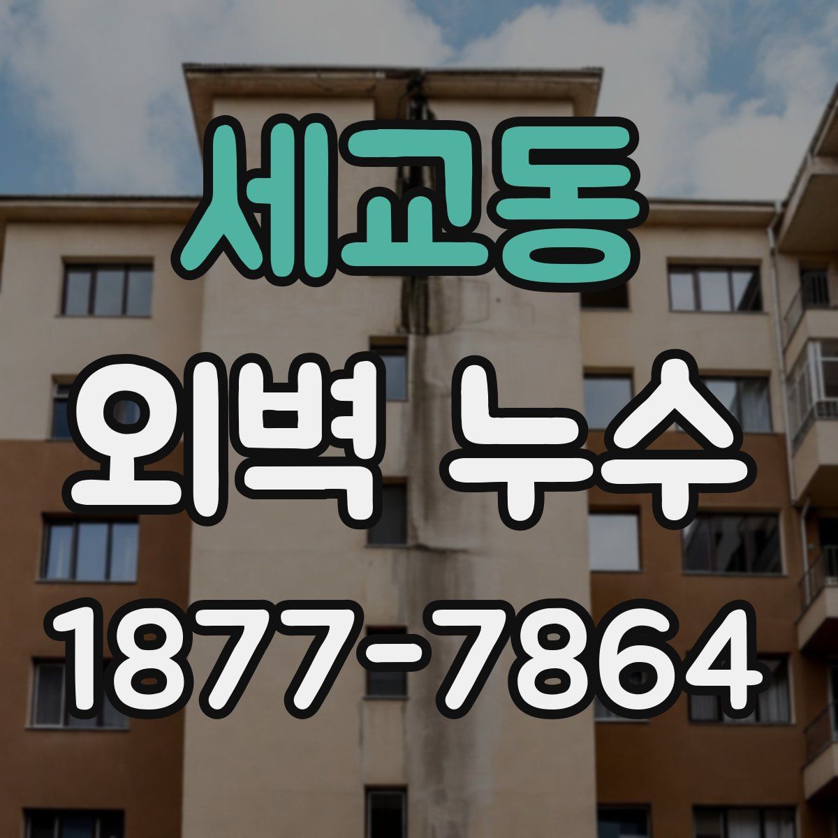 세교동 외벽 누수