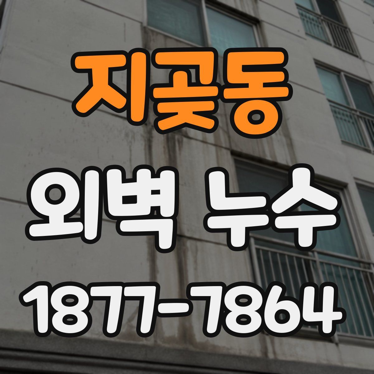 지곶동 외벽 누수