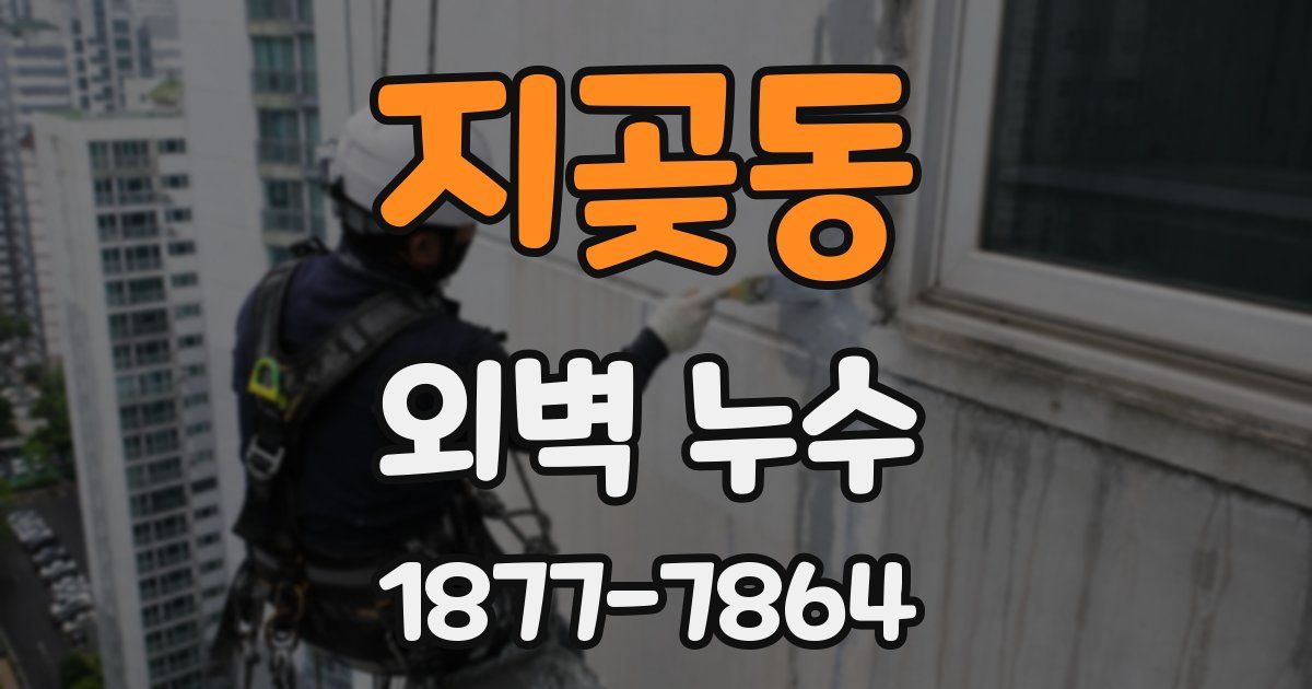 지곶동 외벽 누수