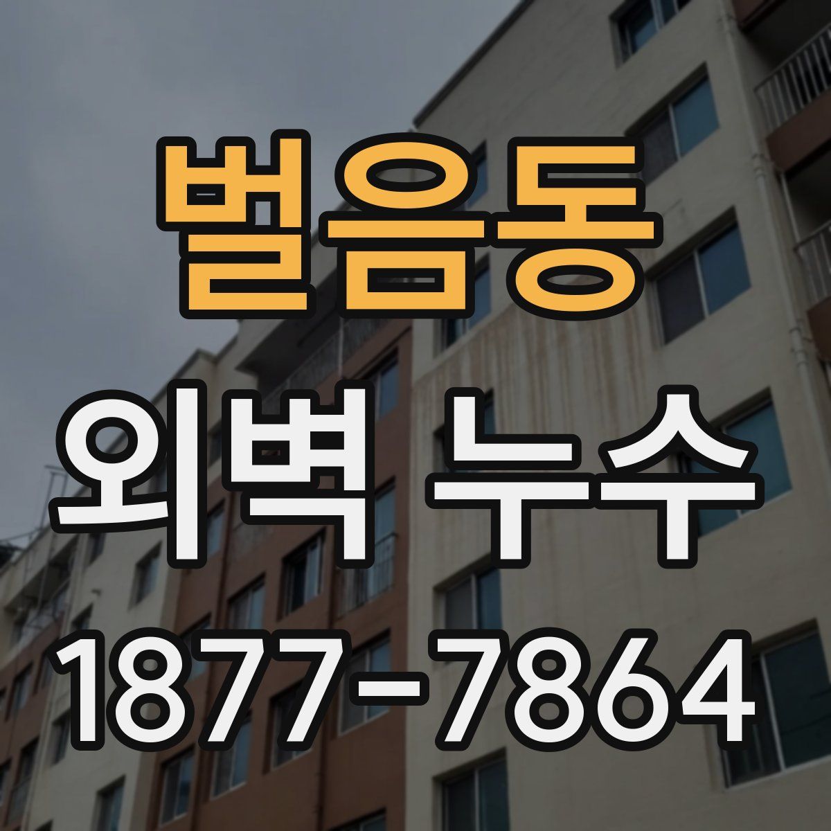 벌음동 외벽 누수
