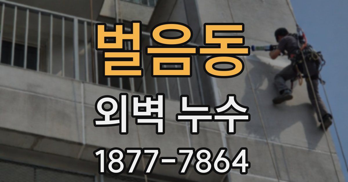 벌음동 외벽 누수