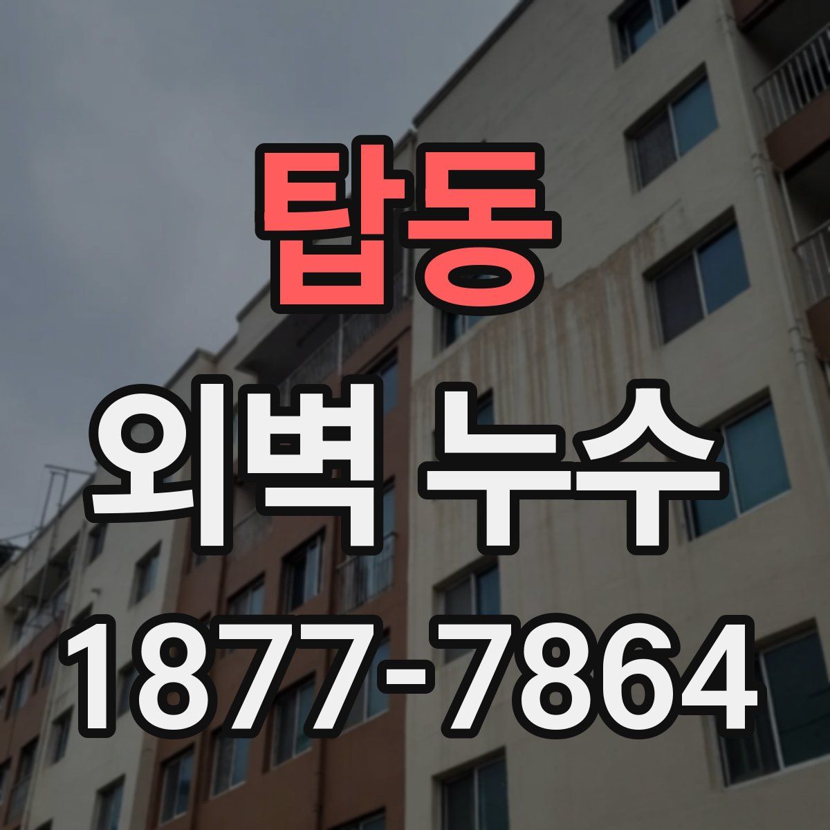 탑동 외벽 누수