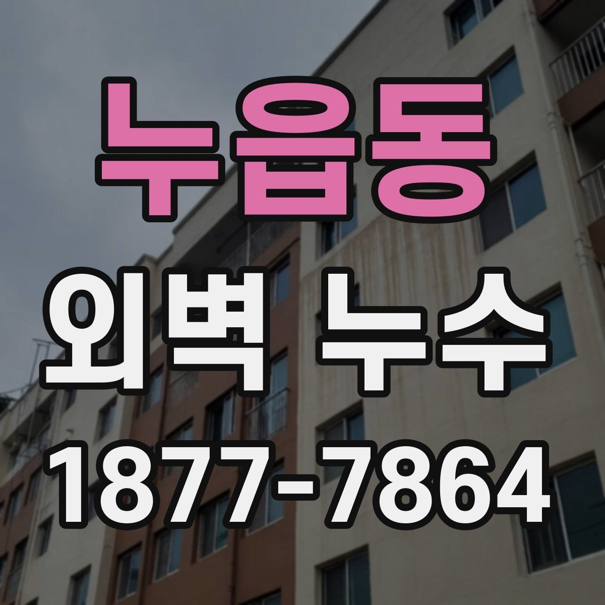 누읍동 외벽 누수