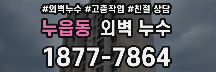 누읍동 외벽 누수