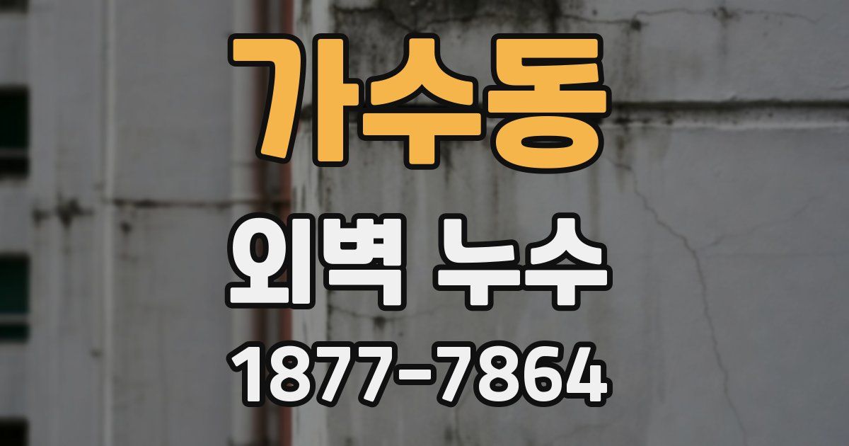 가수동 외벽 누수
