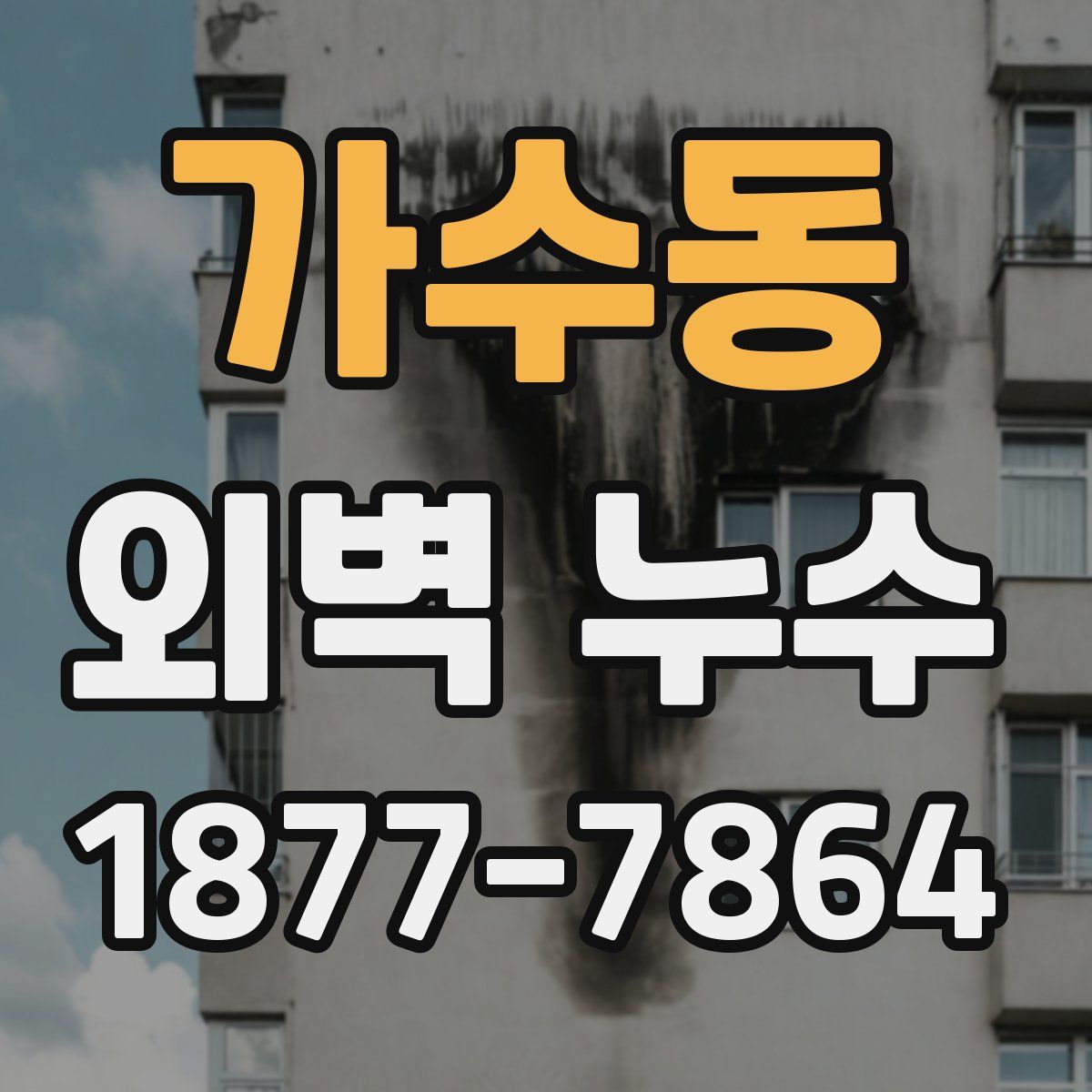 가수동 외벽 누수