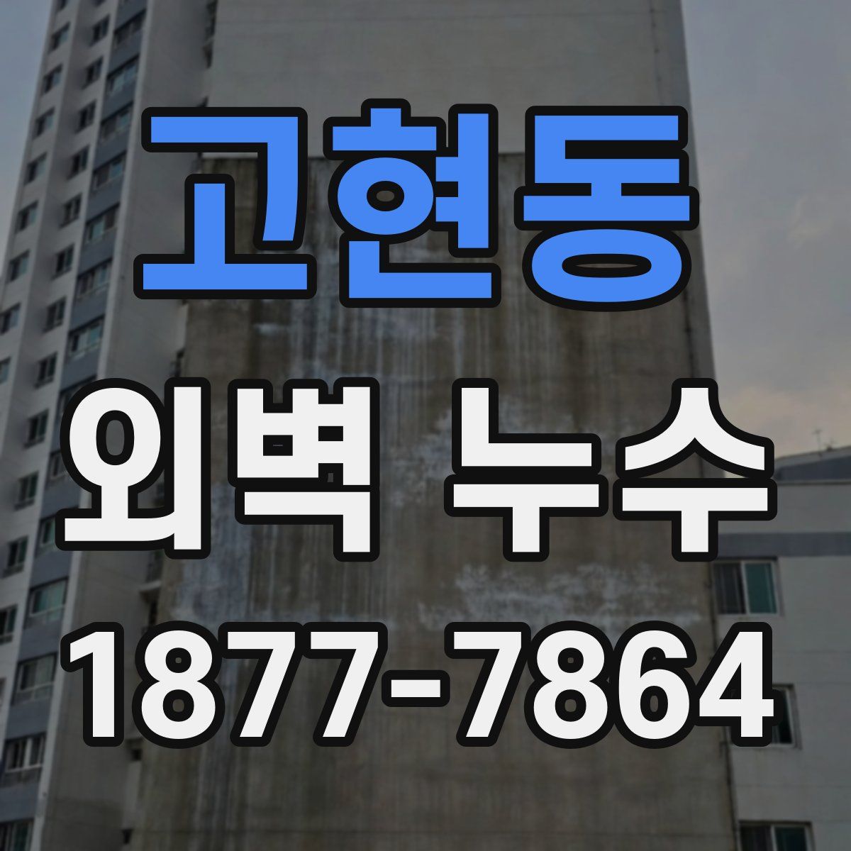 고현동 외벽 누수
