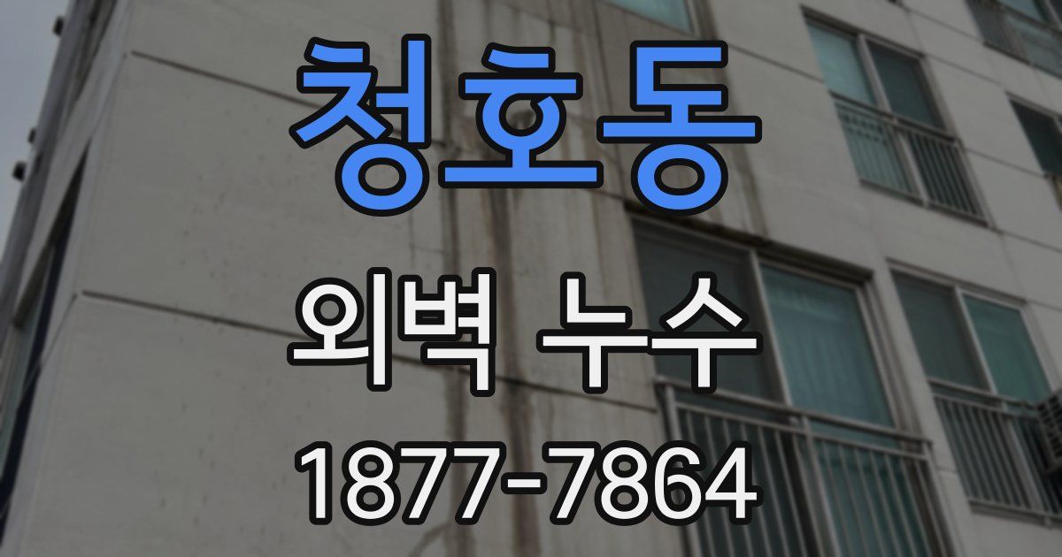 청호동 외벽 누수
