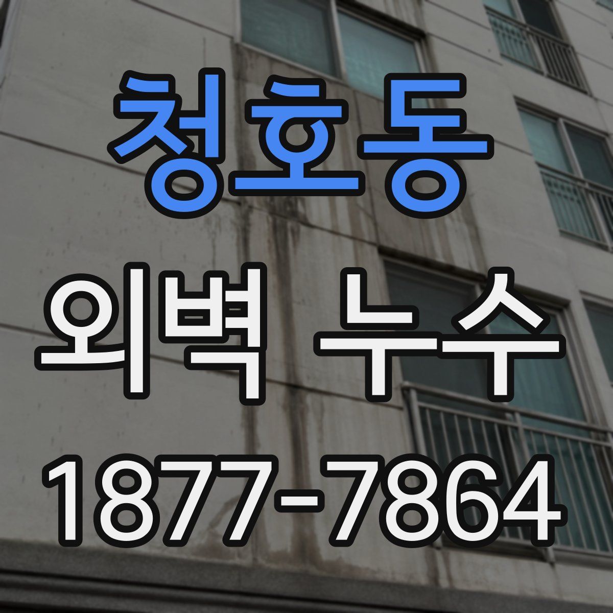 청호동 외벽 누수