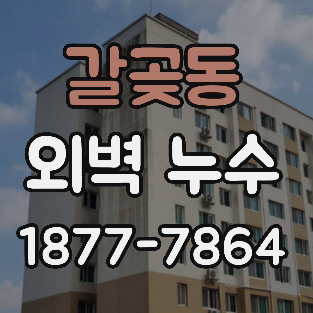 갈곶동 외벽 누수